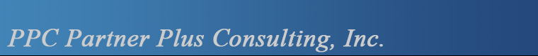 Partner-Plus Consulting, Inc